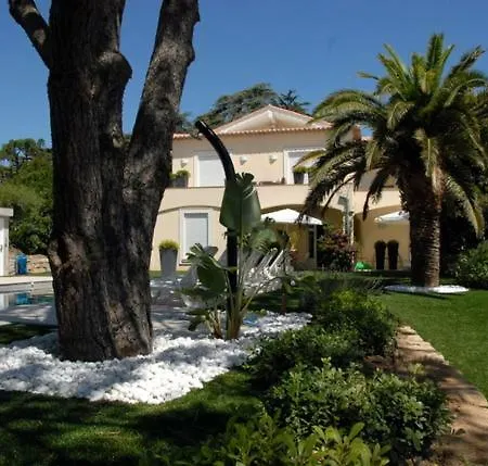 Maxime 4 Pieces * 圣马克西姆